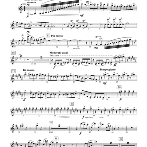 Rhapsody in Blue: 1st B-flat Clarinet