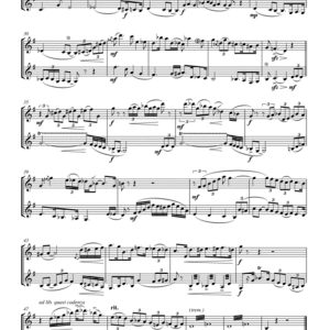 19793086_file_1_page_1