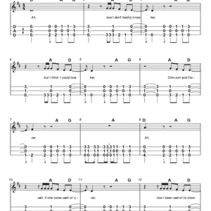 20753484_file_1_page_1