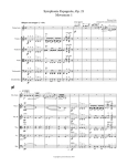 Lalo - Symphonie Espagnole, 1st Movement - Solo Violin and String Orchestra