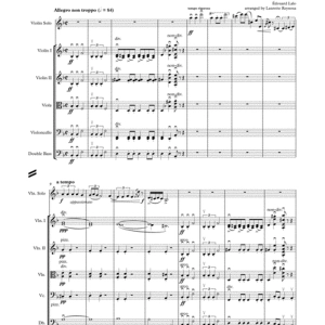 Lalo - Symphonie Espagnole, 1st Movement - Solo Violin and String Orchestra