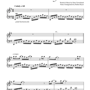 22084529_file_1_page_1