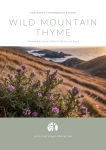 Wild Mountain Thyme